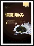 信阳毛尖