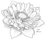 荷花白描写生
