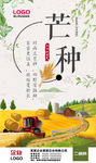 芒种节气海报