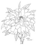 花卉一个