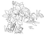 写生一幅