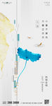 大暑节气移动端地产海报