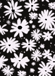 小花