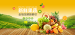 果园生鲜抢购海报