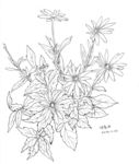 草业