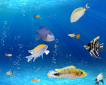 海底世界