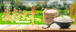 生态大米