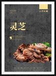 灵芝