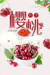樱桃采摘 新鲜樱桃
