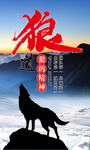 狼道文化 狼性团队
