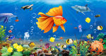 海洋生物