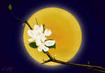 花枝满月鼠绘插画