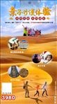 大西北旅游 沙漠旅游 沙漠骆驼