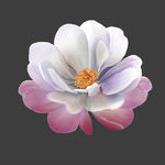 手绘花