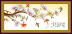 玉兰花
