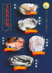 海鲜产品海报