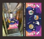 星空地贴