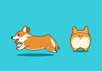 卡通柯基犬