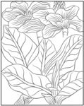 草本植物白描