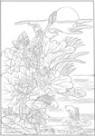 荷花鲤鱼