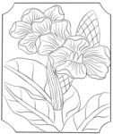 花卉