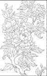花卉白描