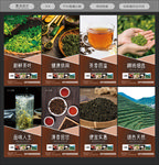 茶叶海报