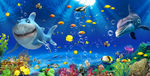 海底生物