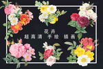 超高清分层手绘真实牡丹七彩玫瑰
