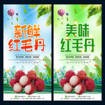 红毛丹