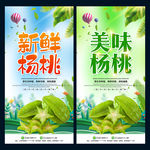 杨桃