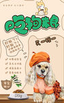 吃狗粮 猫粮 宠物店 肖
