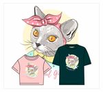 蝴蝶结猫