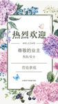 花卉背景 海报 夏季 婚礼