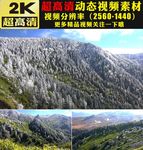 冬天雪景雪松下雪雪林雪山视频