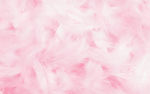 粉色羽毛底图背景墙