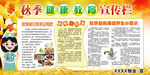 秋季健康教育宣传栏
