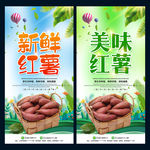 红薯