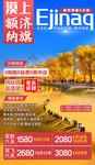 胡杨林