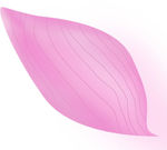 花瓣