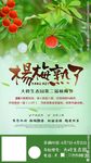 杨梅节