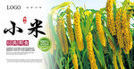小米海报