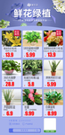 鲜花绿植集合推广模板海报