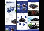 蓝莓李果详情页