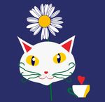 雏菊 猫