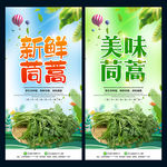 茼蒿