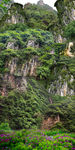 竖幅山水画