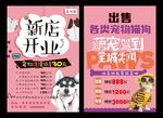 宠物店洗澡买卖交易领养用品护理