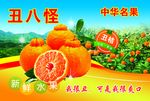 丑八怪