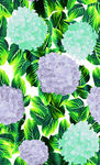 大牌服装 花朵绿叶